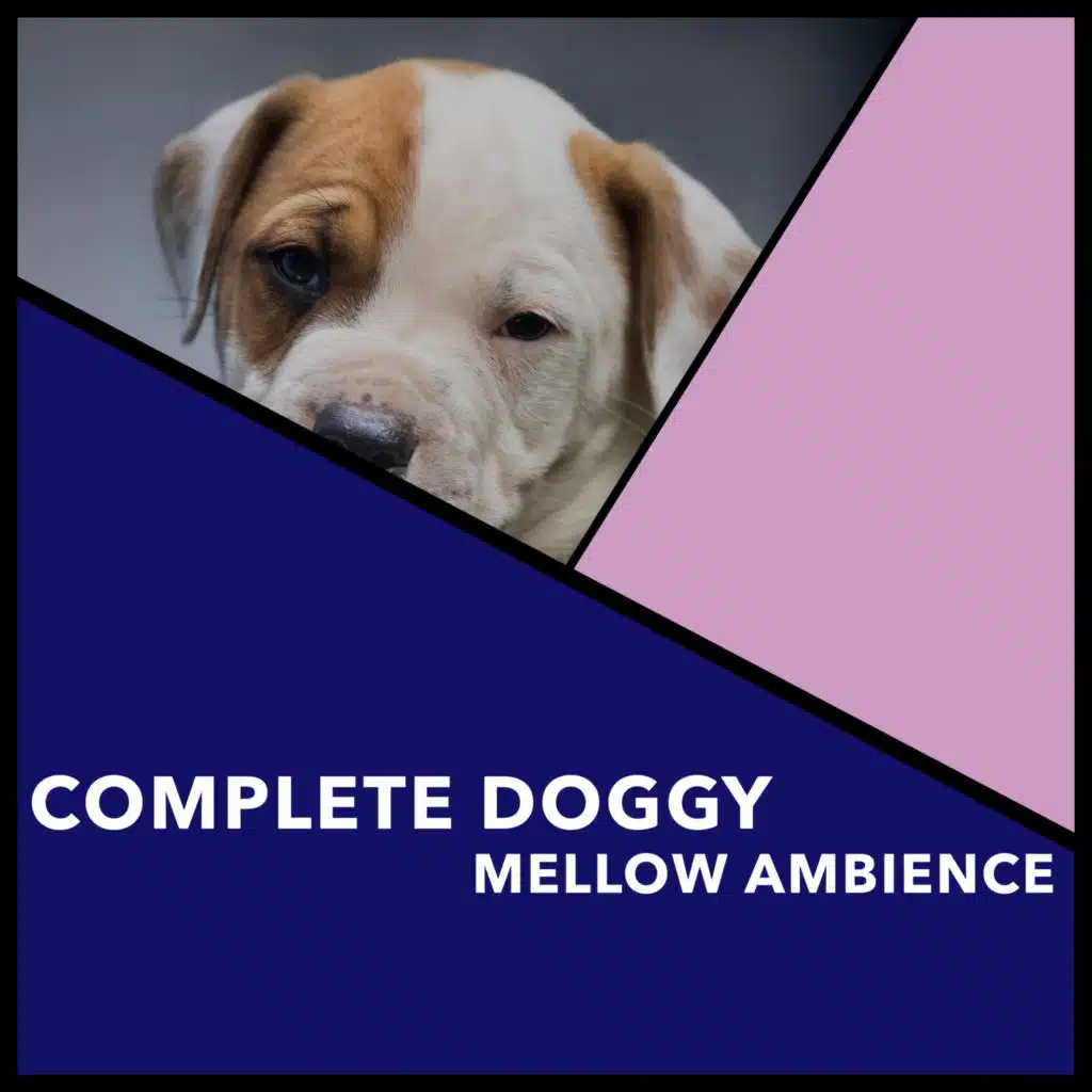 Reiki Dogs & Reiki for Animals