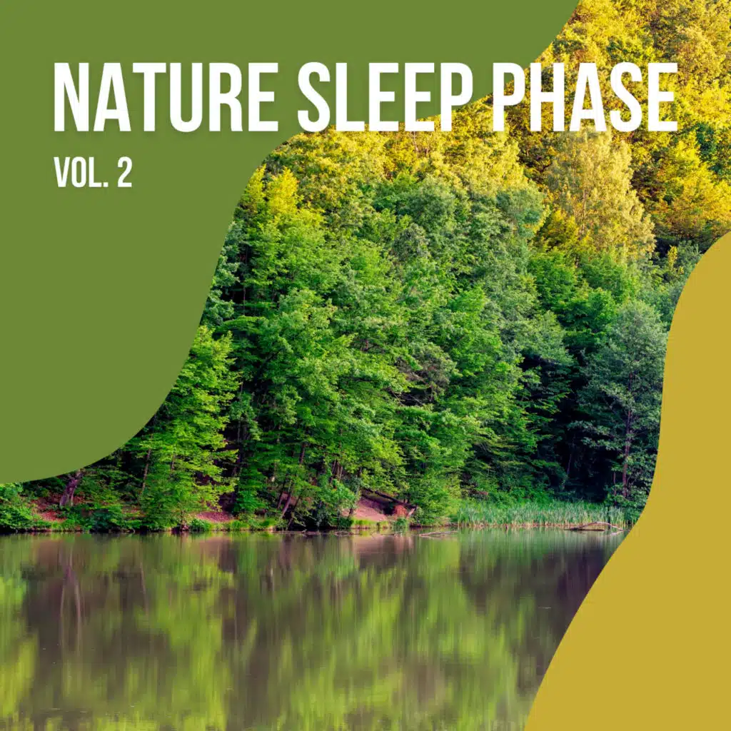 1 Nature Sleep Phase Vol. 2