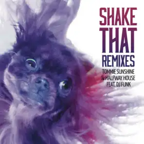 Shake That (Remixes) [feat. DJ Funk]