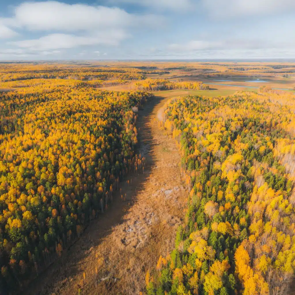 White Relaxing Calm Noise