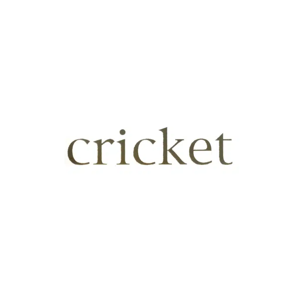 Foundations, Vol. 4 (Cricket)