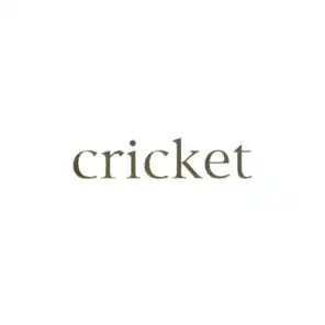 Foundations, Vol. 4 (Cricket)