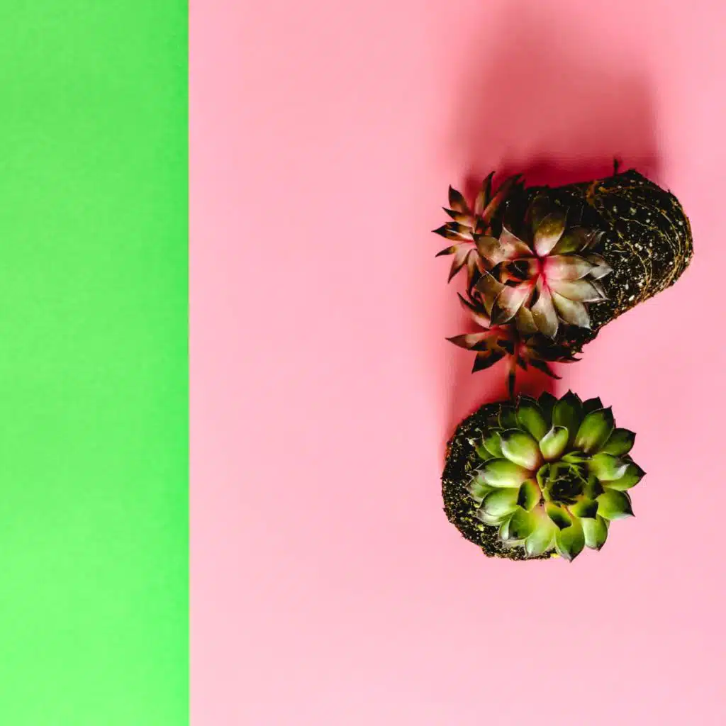 Repose Peaceful White Noise (feat. Baby Sleep Sounds/Pink Noise Babies)