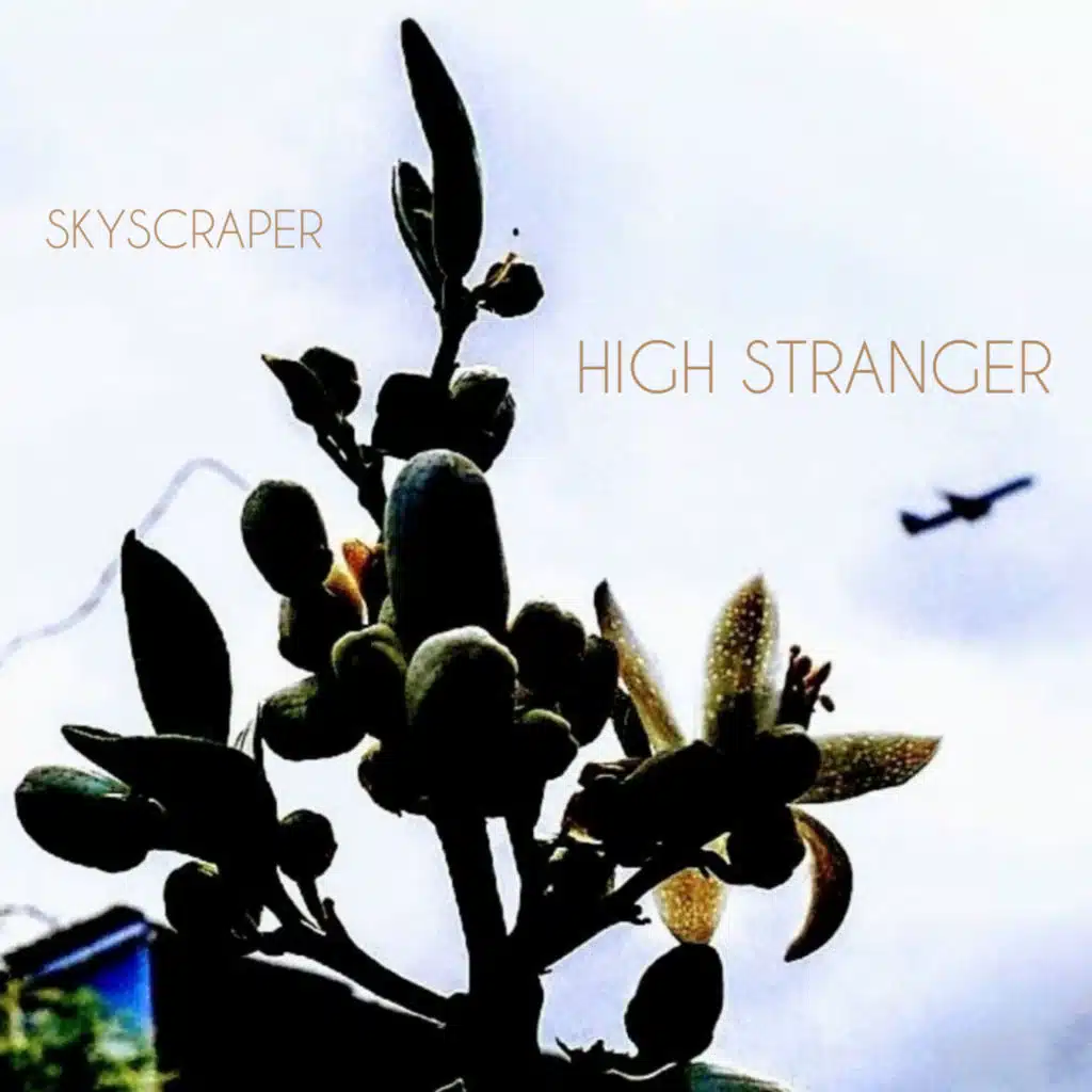 HIGH STRANGER