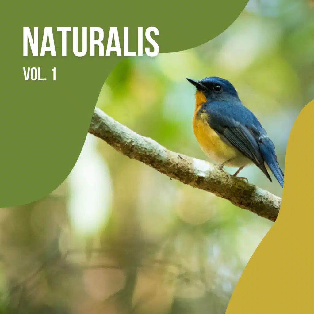 2022 Naturalis Vol. 1