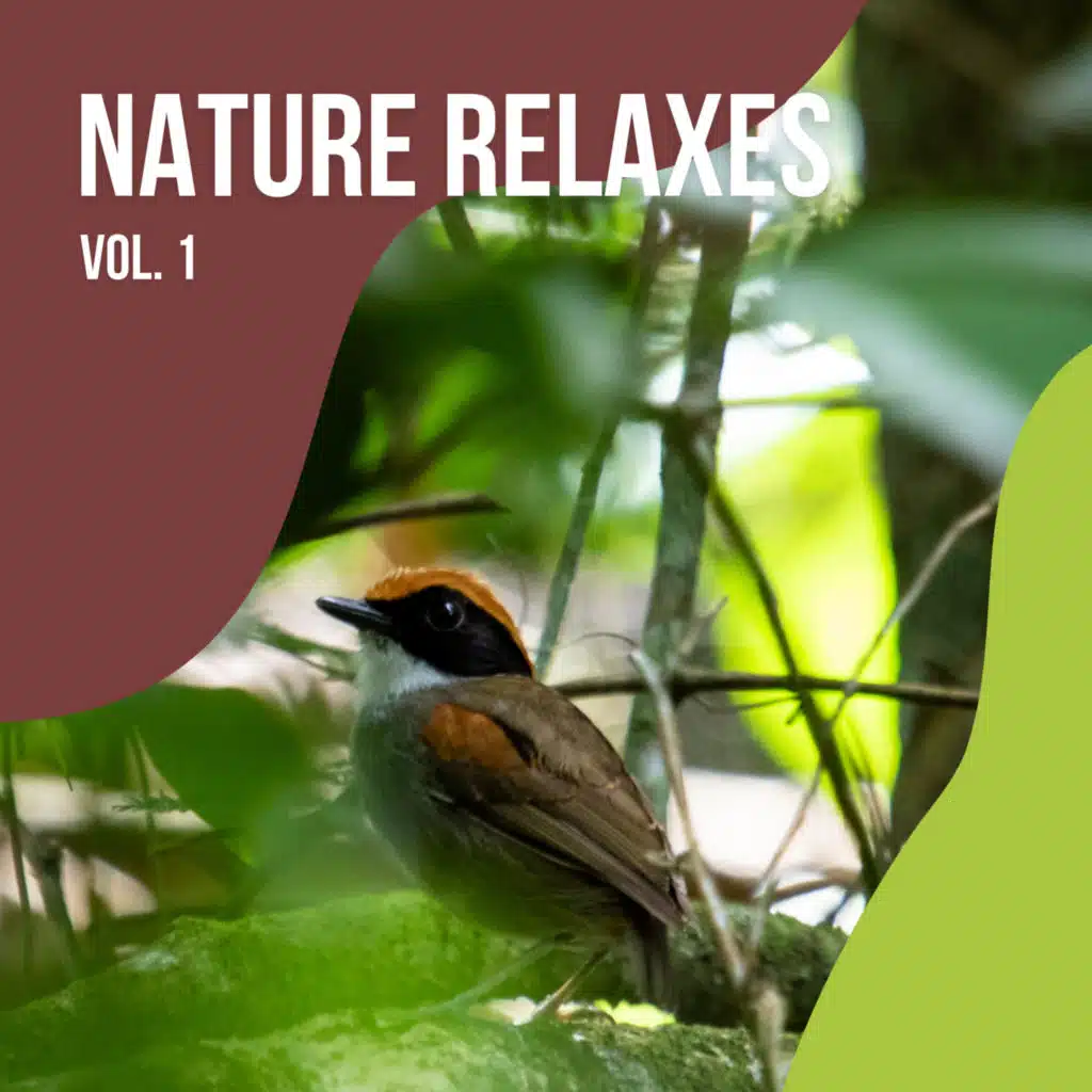 2022 Nature Relaxes Vol. 1