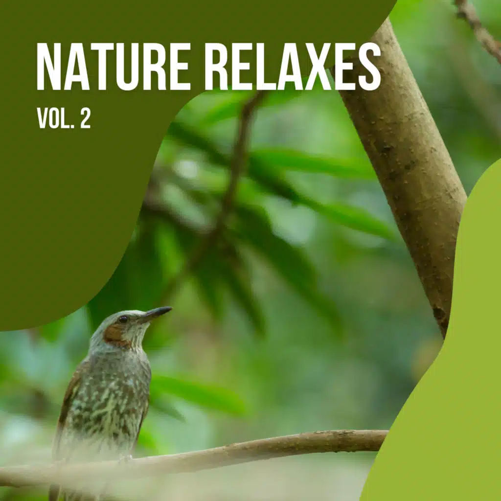 2022 Nature Relaxes Vol. 2