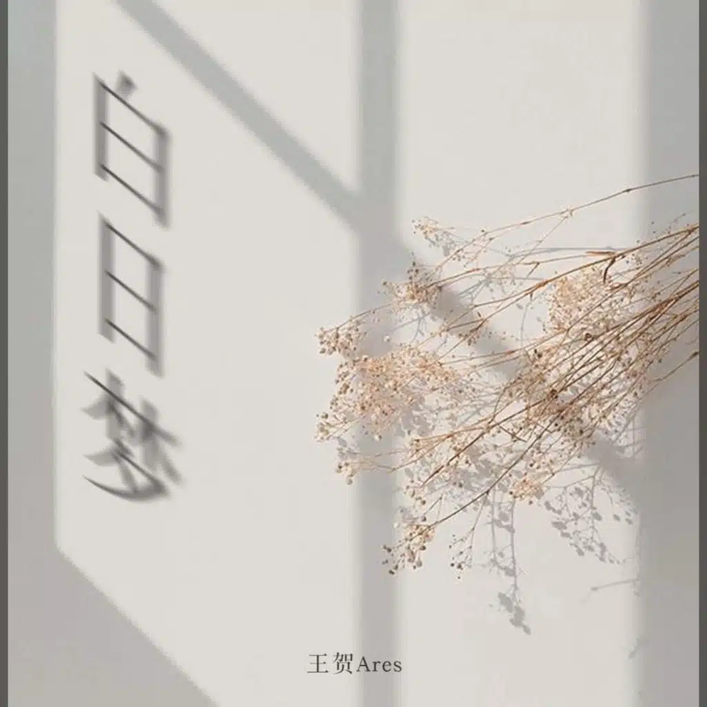 白日梦