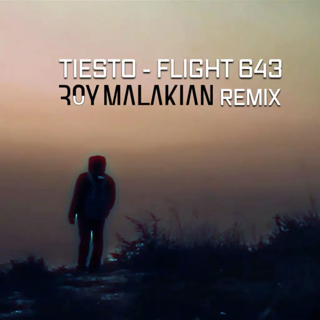 Flight 643 ( Roy Malakian Remix )