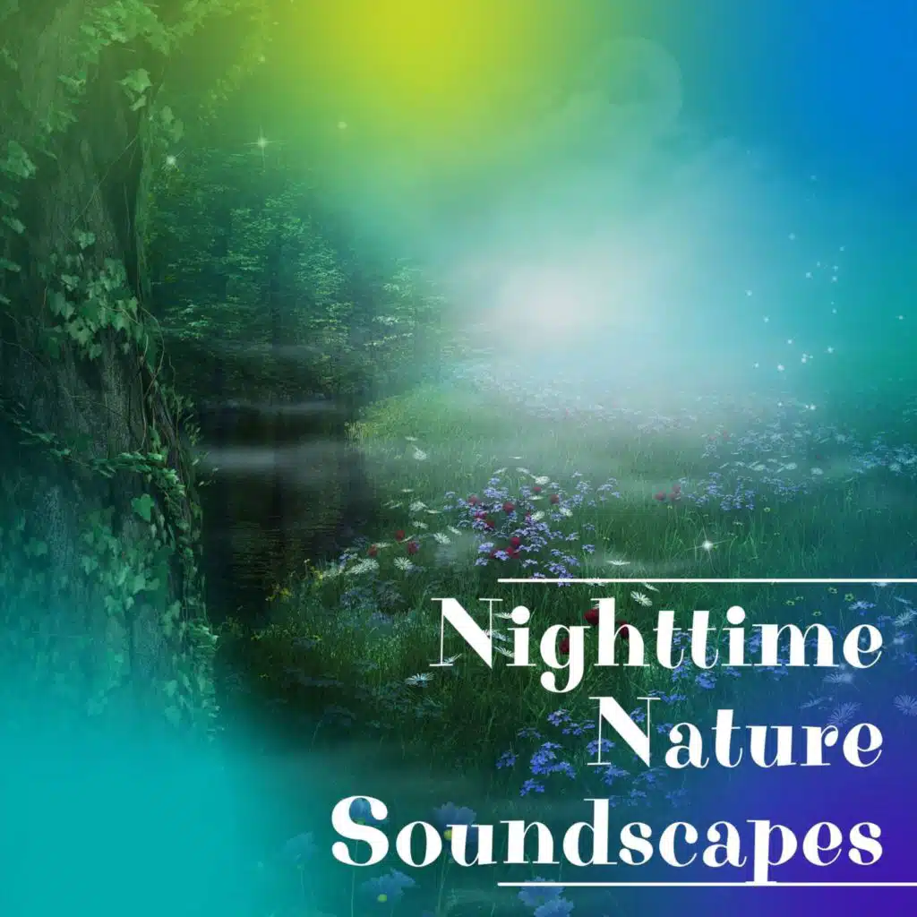 Nighttime Nature Soundscapes