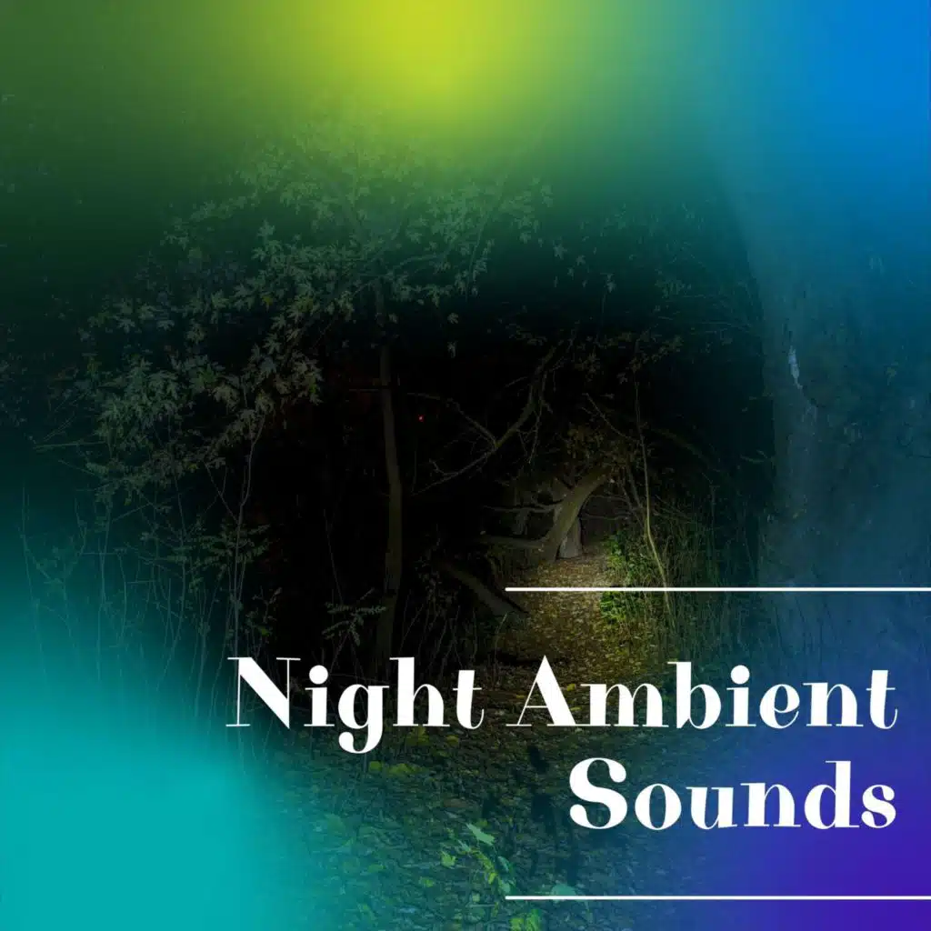 Forest at Night Sounds, Night Nature Sounds & Cricket Sounds