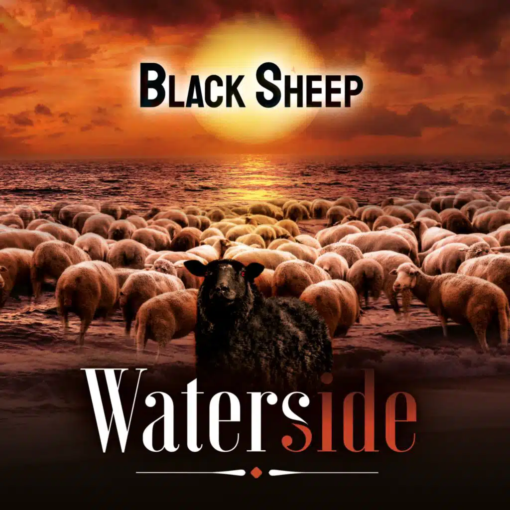Black Sheep