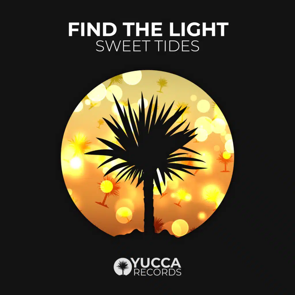 Find the Light
