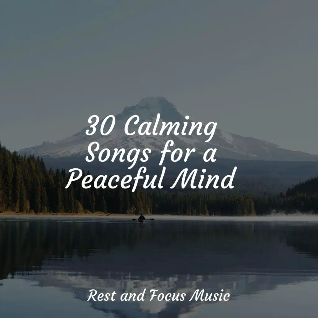 Ambient Music Therapy (Deep Sleep, Meditation, Spa, Healing, Relaxation), Reiki Tribe