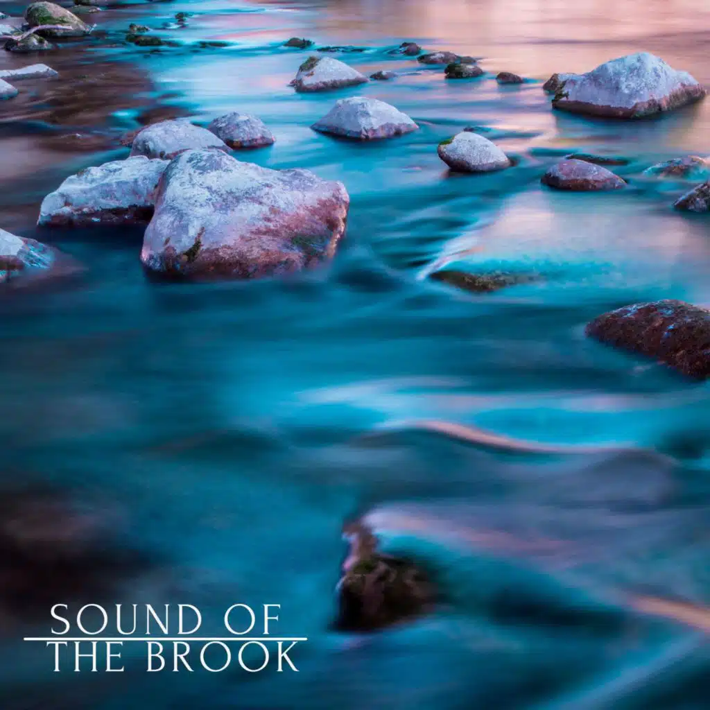 Sound Of The Brook