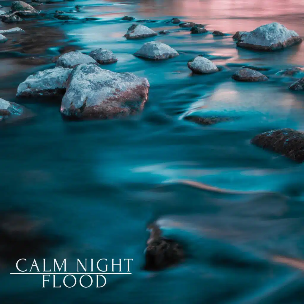 Calm Night Flood