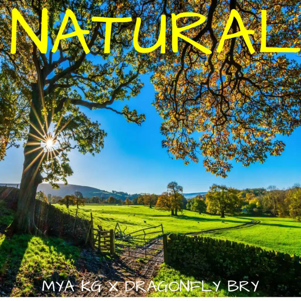 Natural (Long Version)