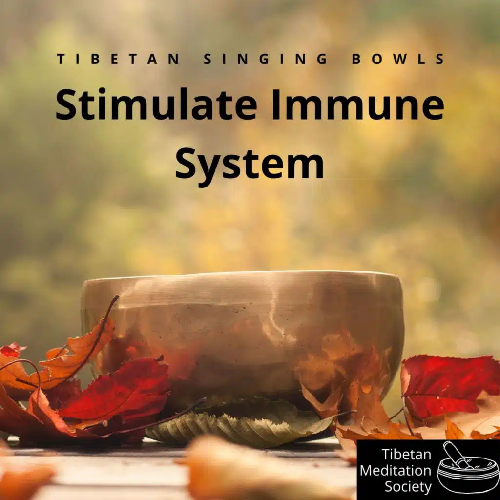 Tibetan Singing Bowls - Stimulate Immune System