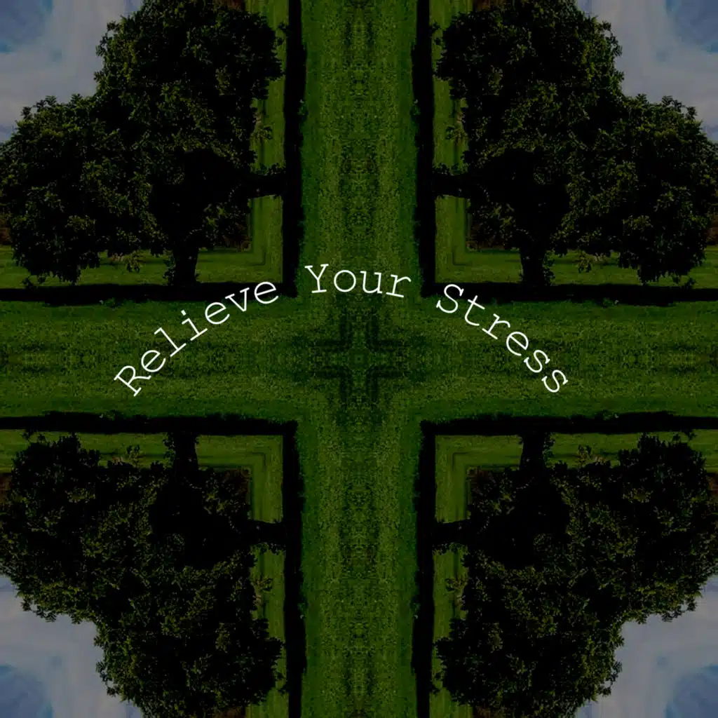 Relieve Your Stress (feat. DJ Blue & DJ Seven)