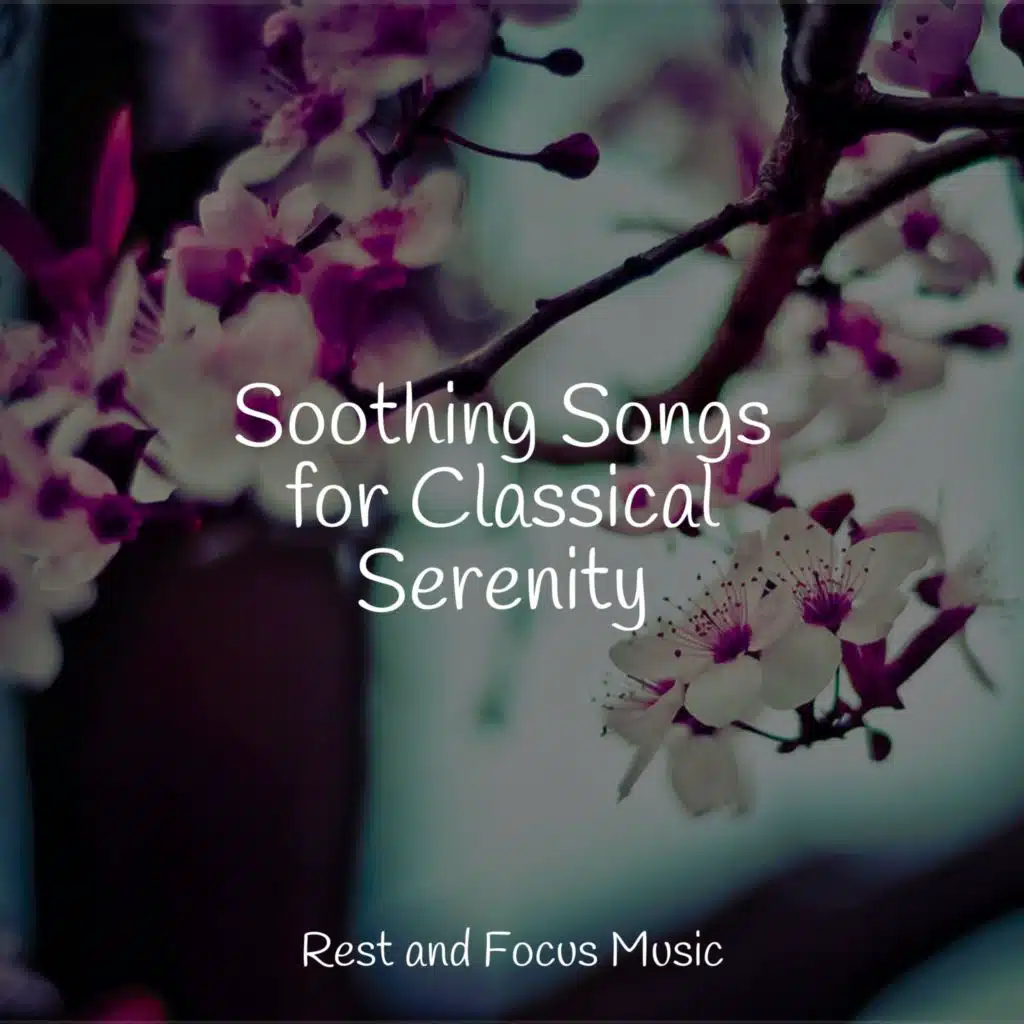 Soothing Songs for Classical Serenity