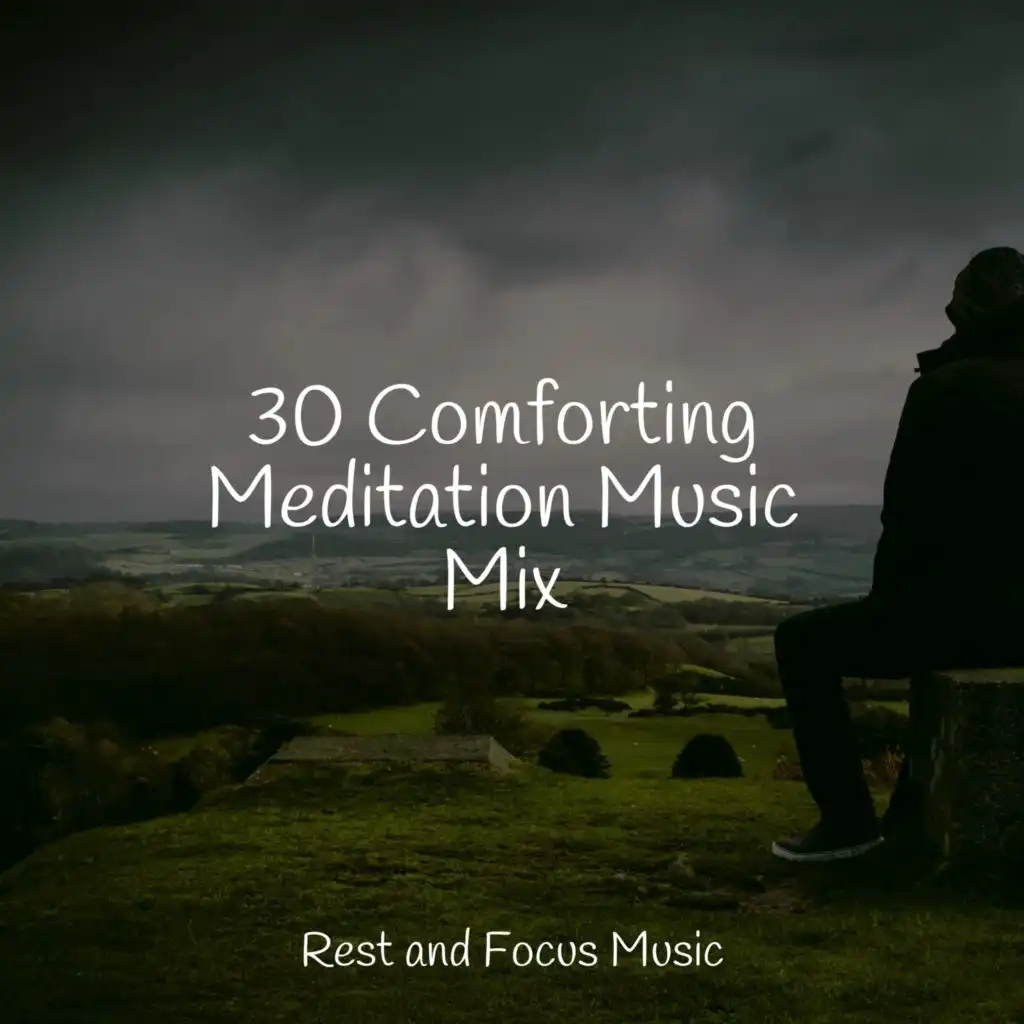 30 Comforting Meditation Music Mix