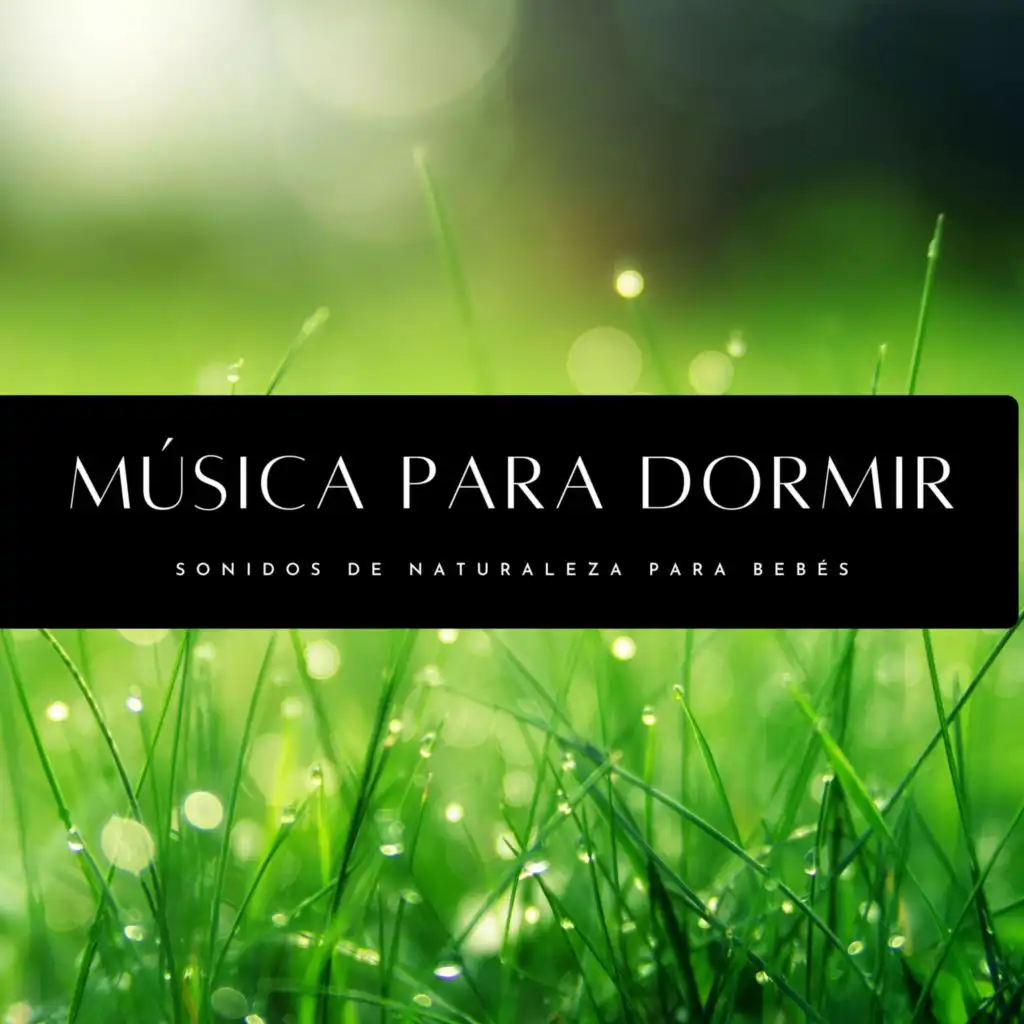 Música Para Dormir: Sonidos De Naturaleza Para Bebés