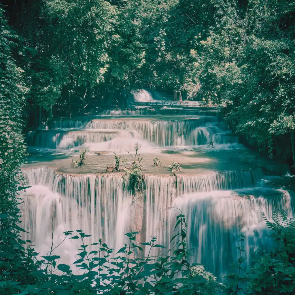 Small Stream With Singing Birds