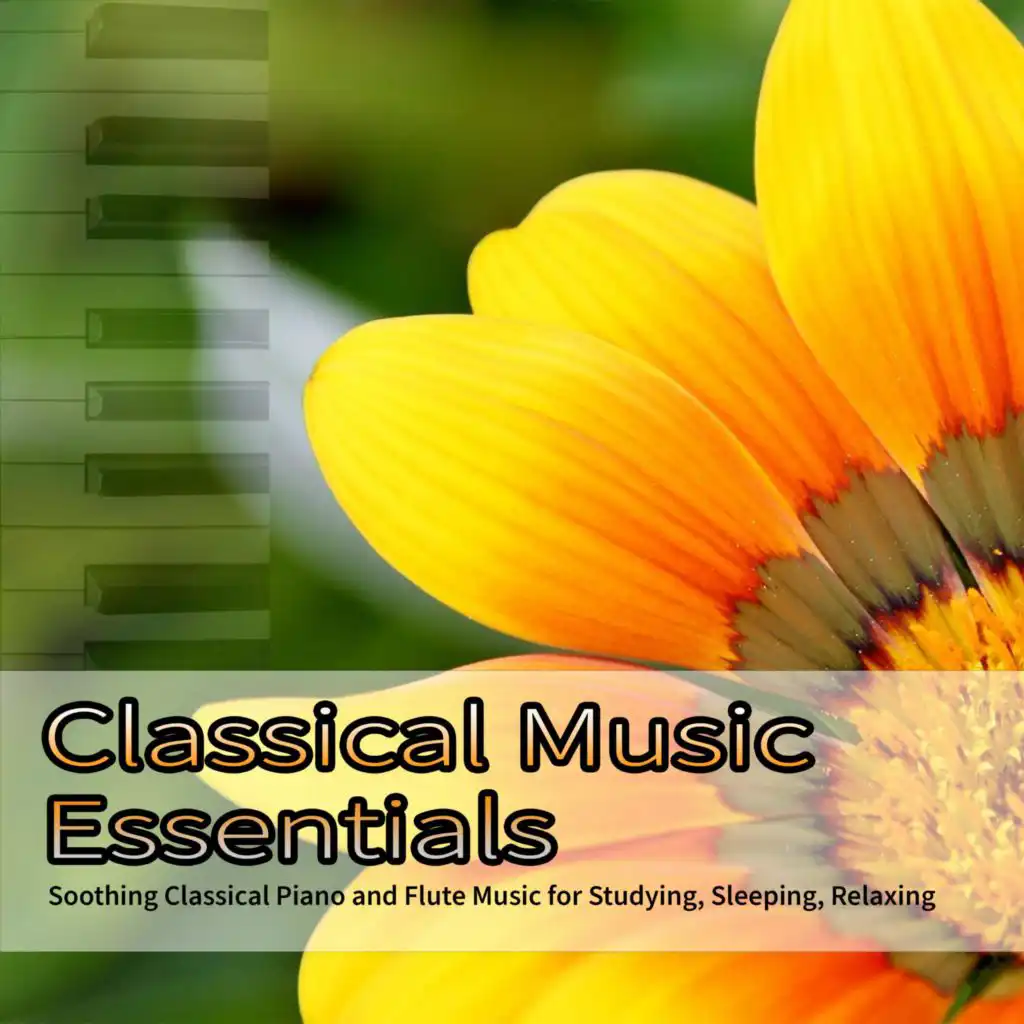 Classical Music Essentials: Soothing Classical Piano and Flute Music for Studying, Sleeping, Relaxing