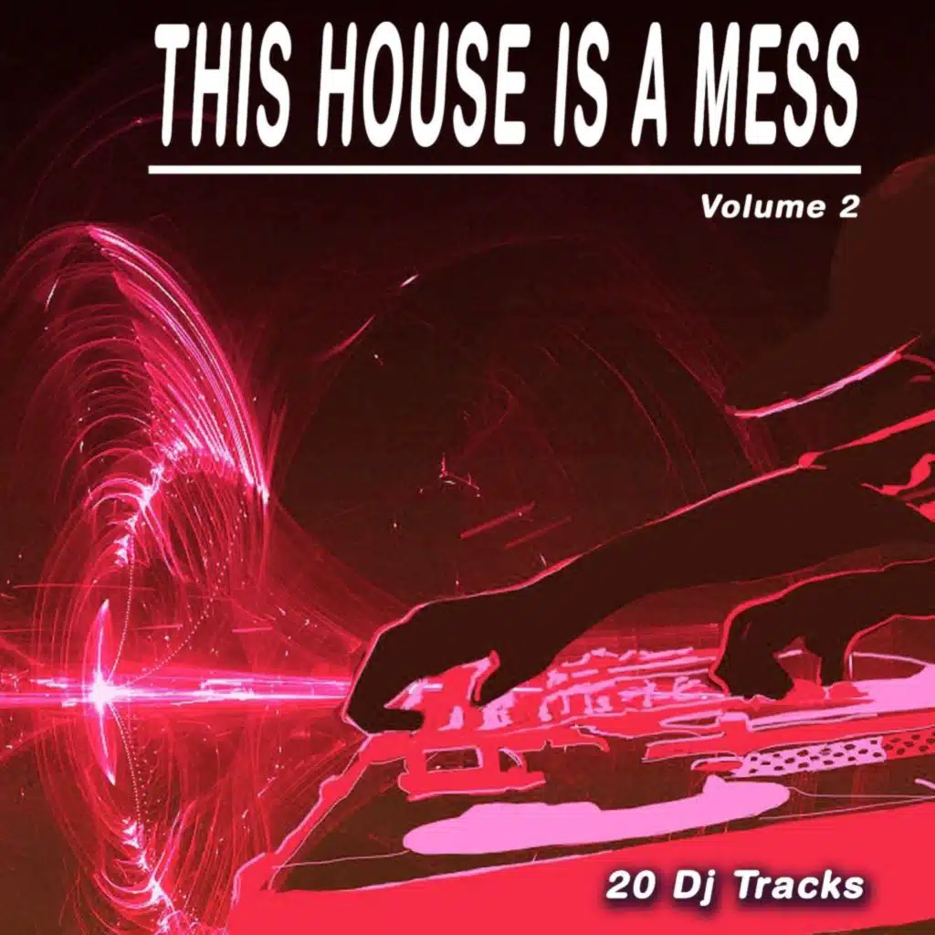 This House Is a Mess, Vol. 2 (20 DJ Tracks)