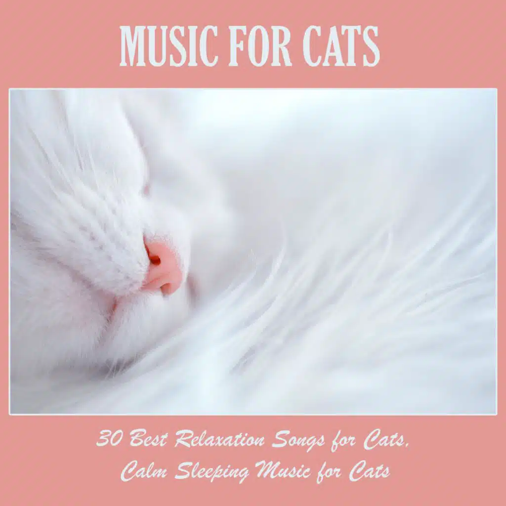 Music for Cats: 30 Best Relaxation Songs for Cats, Calm Sleeping Music for Cats