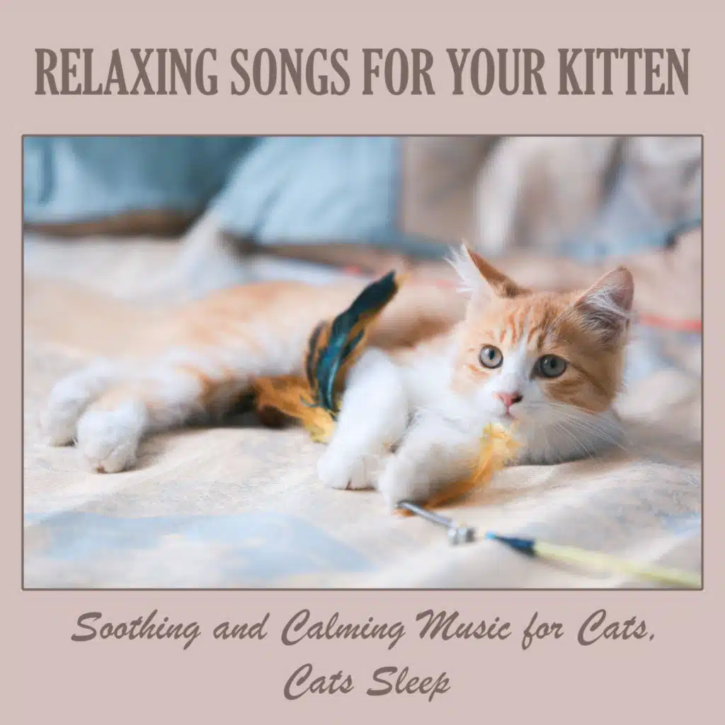 Relaxing Songs for Your Kitten: Soothing and Calming Music for Cats, Cats Sleep