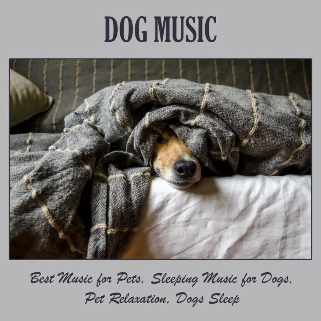 Dog Music: Best Music for Pets, Sleeping Music for Dogs, Pet Relaxation, Dogs Sleep
