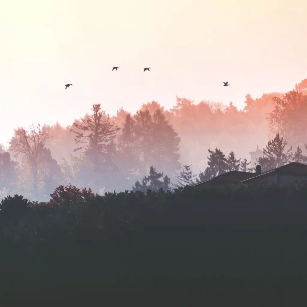 Autumn Tales