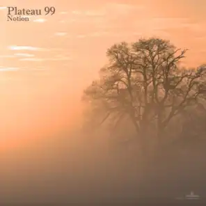 Plateau 99