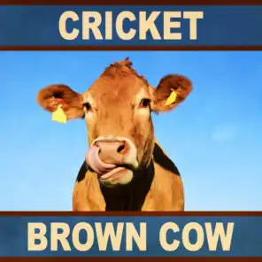 Foundations, Vol. 6 (Cricket Brown Cow)