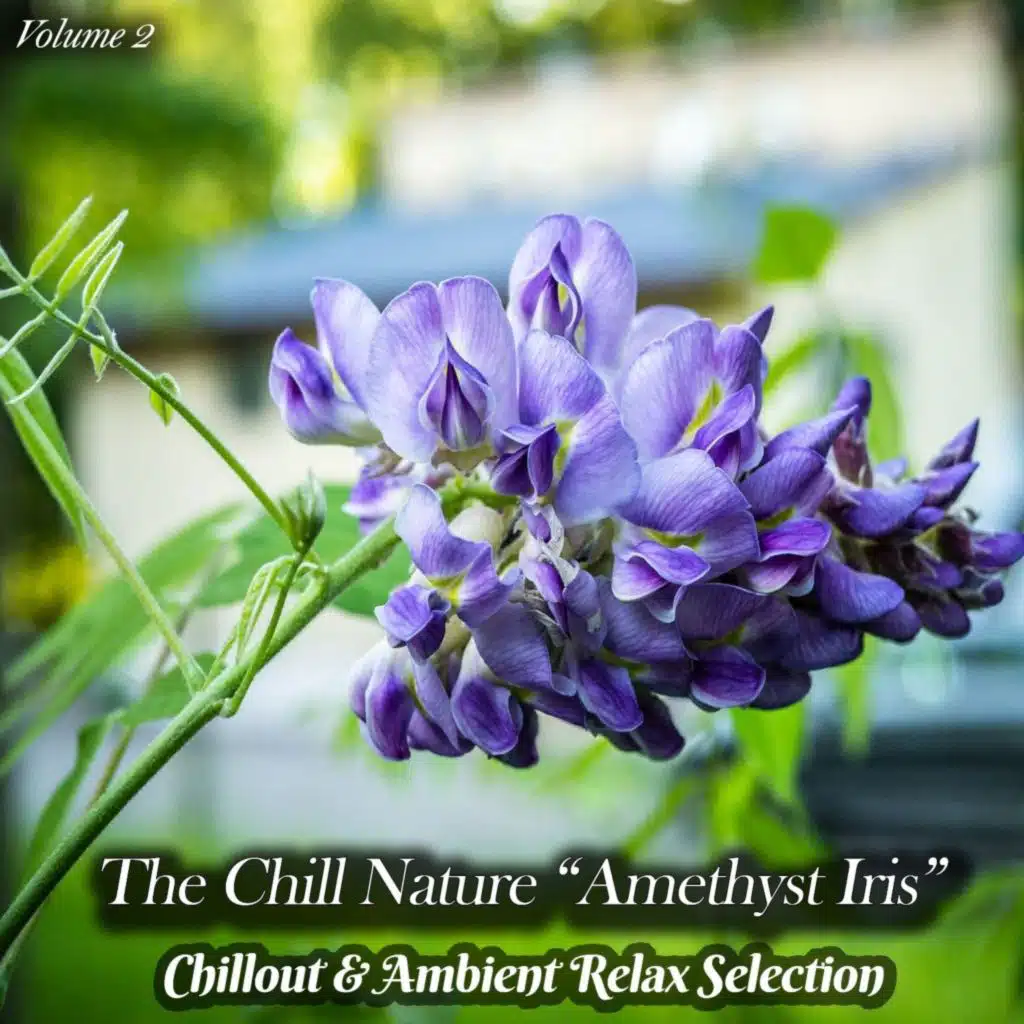 The Chill Nature "Amethyst Iris", Vol. 2 (Chillout & Ambient Relax Selection)