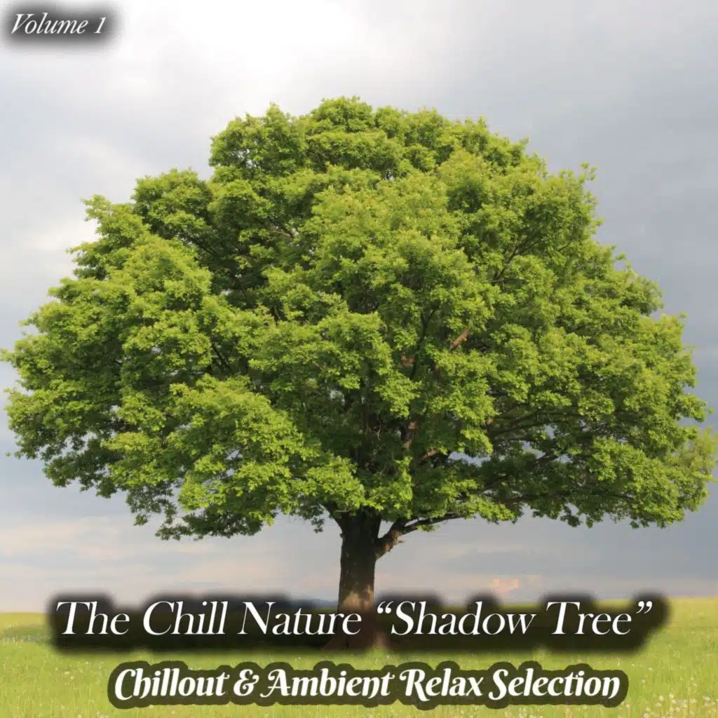 The Chill Nature "Shadow Tree", Vol. 1 (Chillout & Ambient Relax Selection)