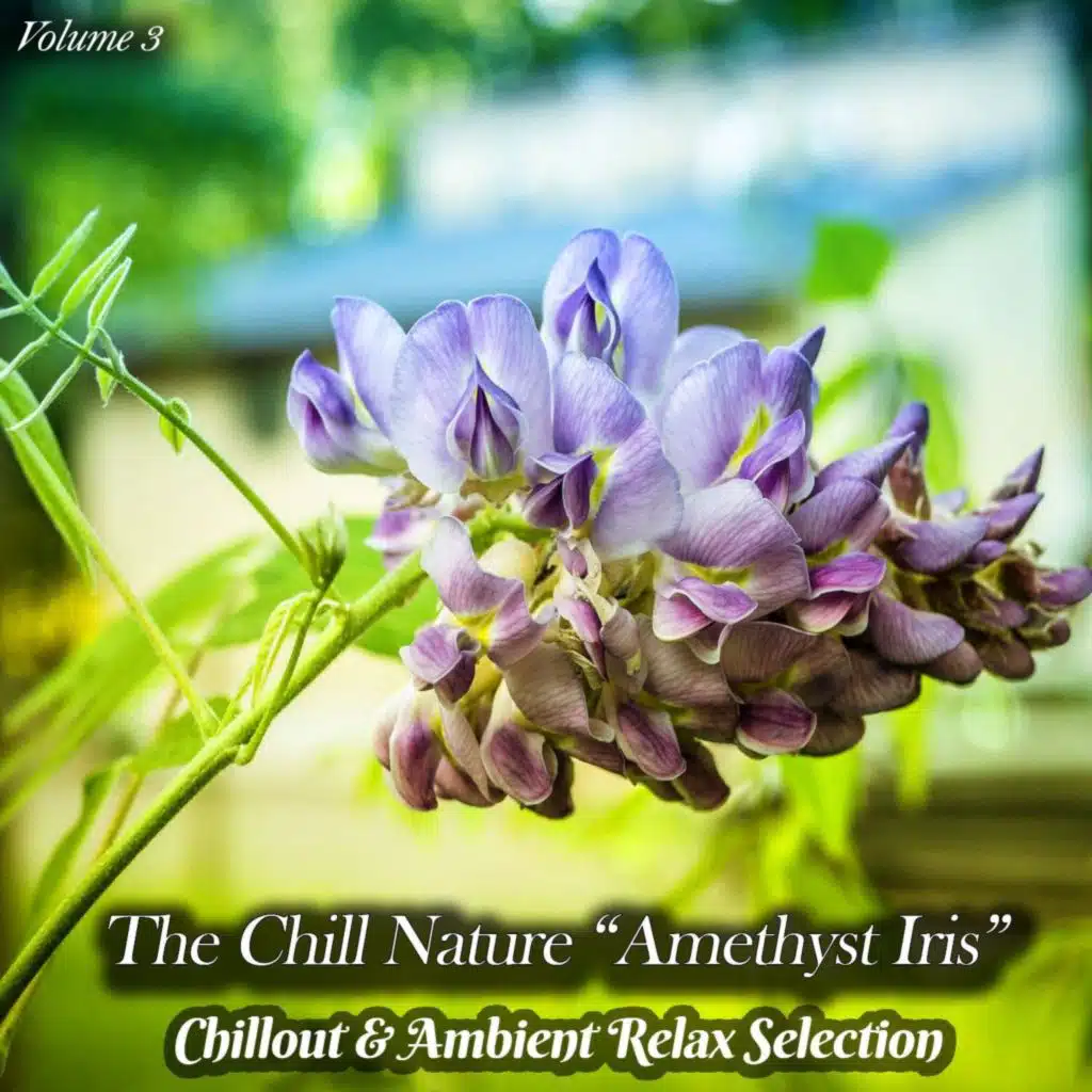 The Chill Nature "Amethyst Iris", Vol. 3 (Chillout & Ambient Relax Selection)