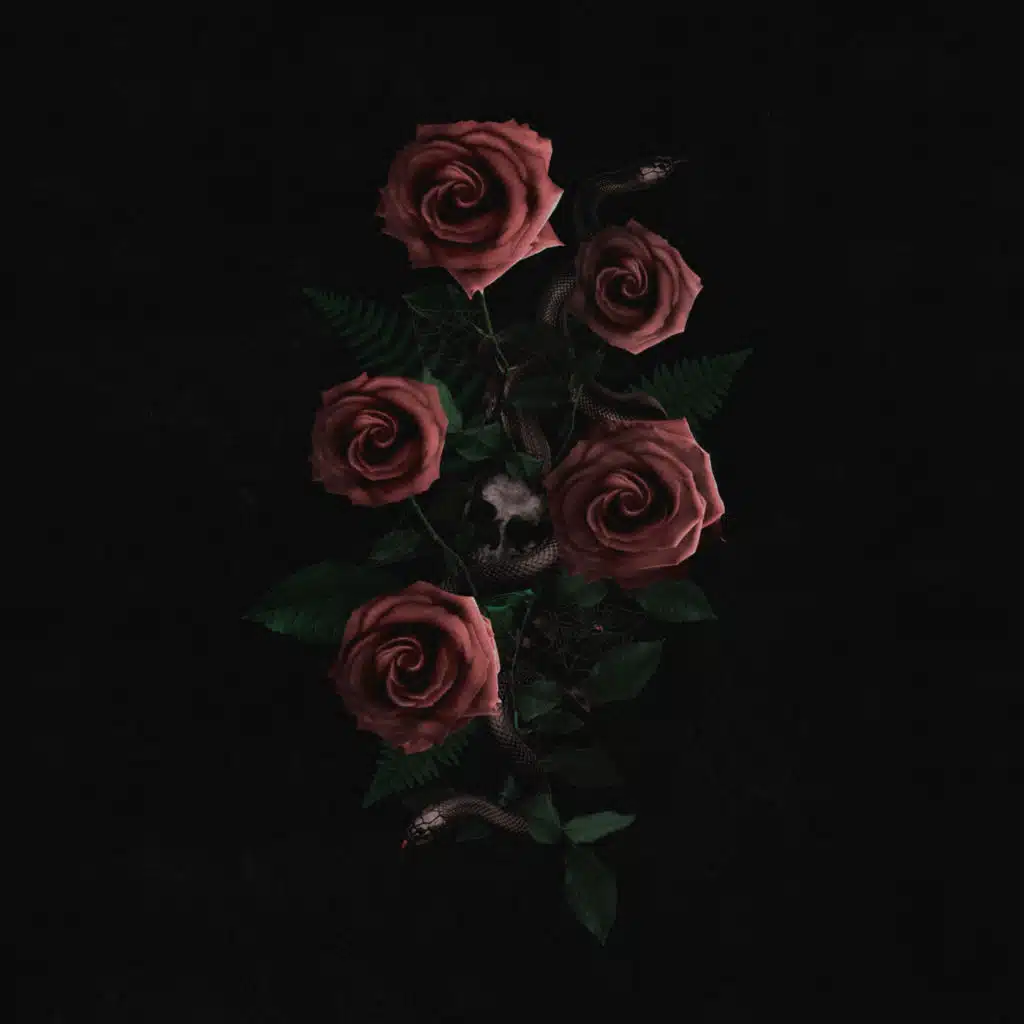 Roses In The Concrete