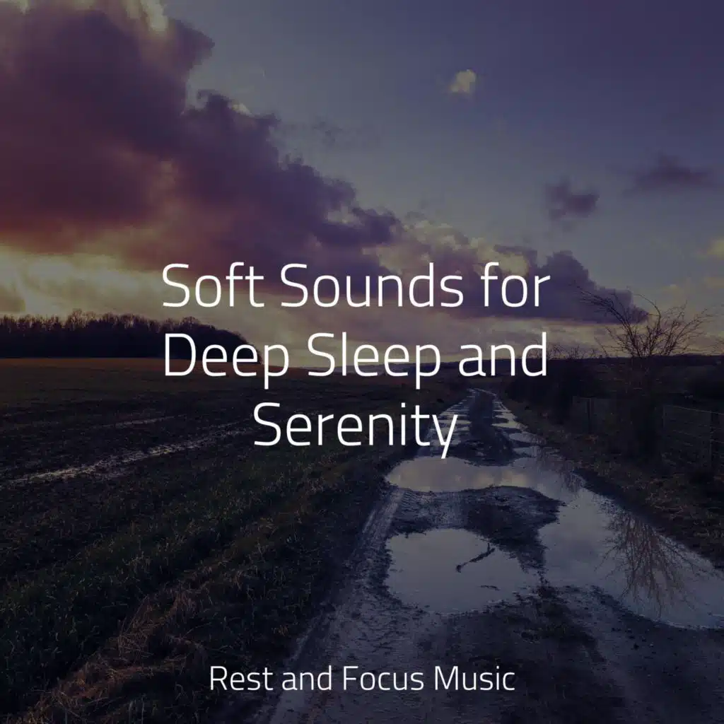 Soft Sounds for Deep Sleep and Serenity