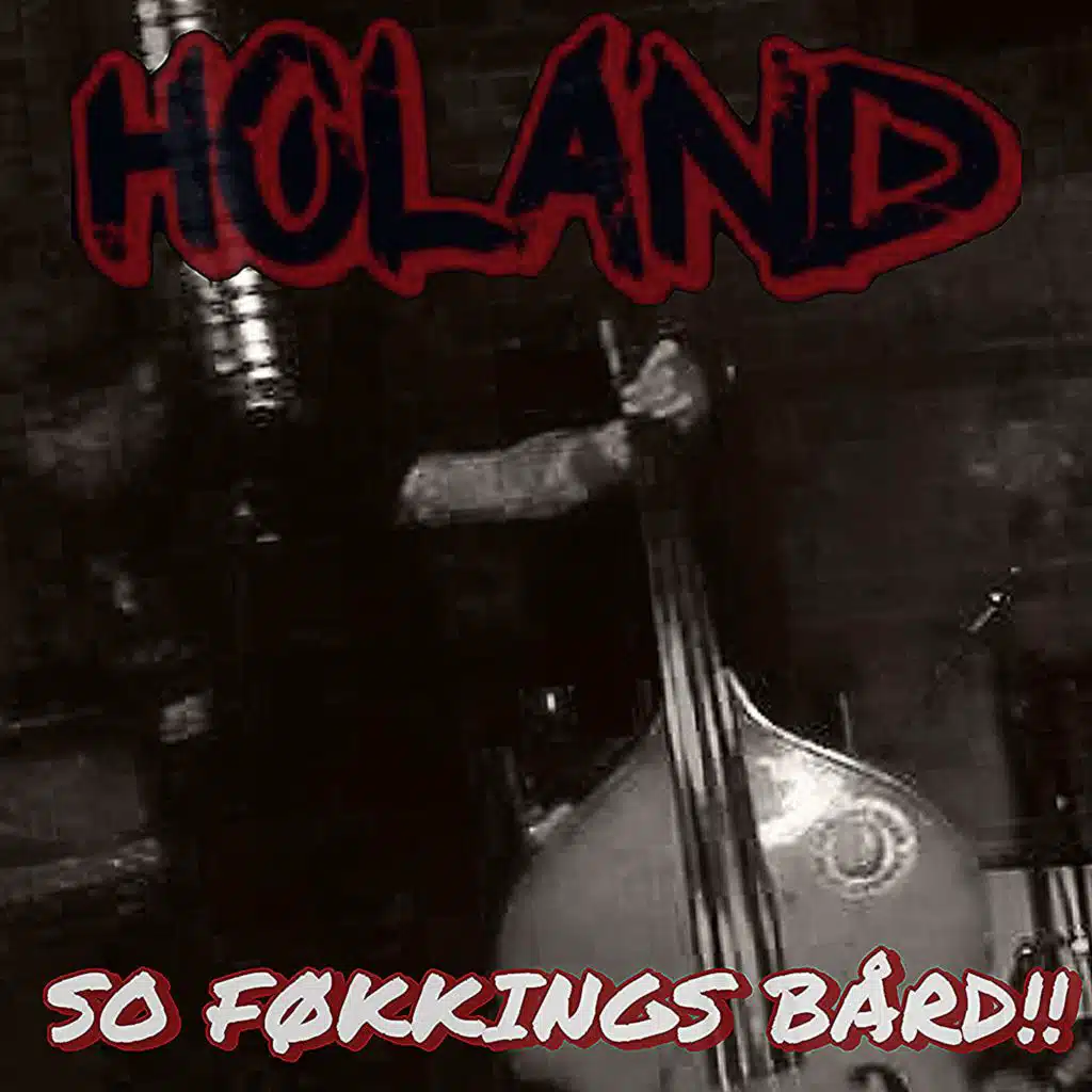 So Føkkings Bård