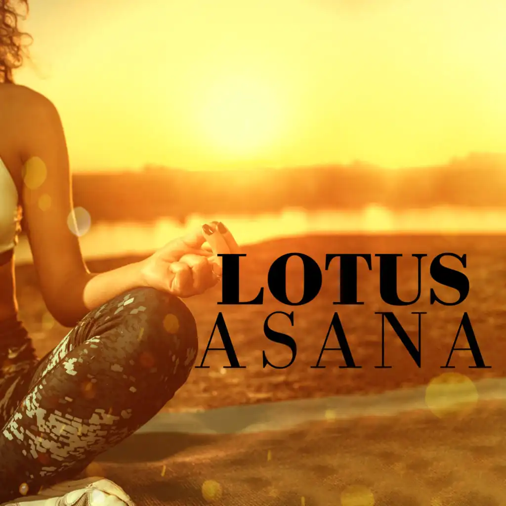 Lotus Asana: Yoga & Deep Meditation Music 2022