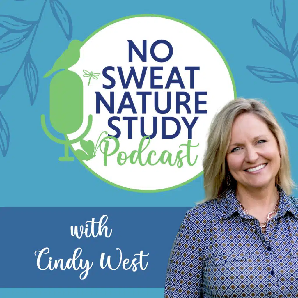CINDY WEST