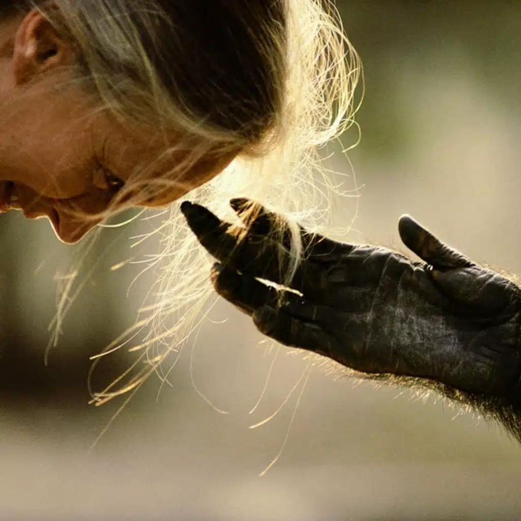 اپیزود هجدهم: بگذار وحشی بماند