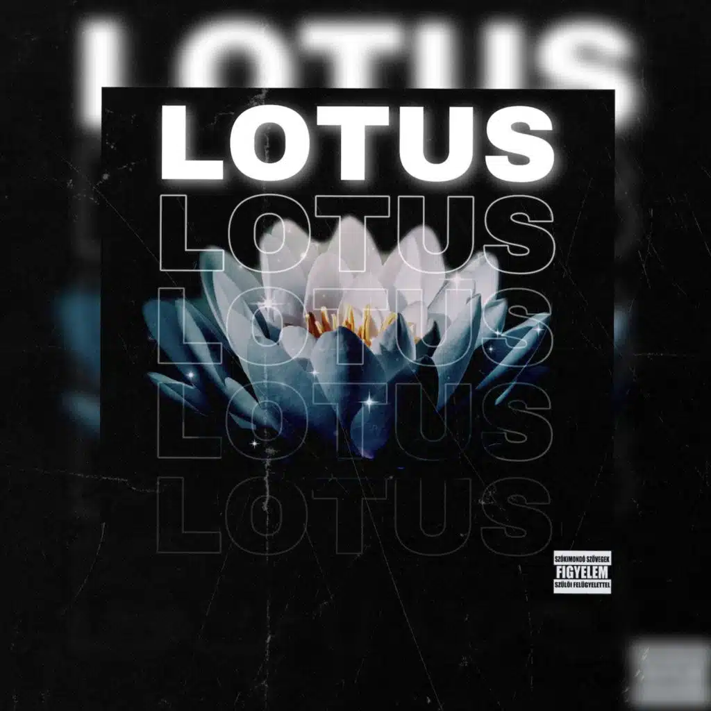 Lotus (feat. Akrouf Vivien)