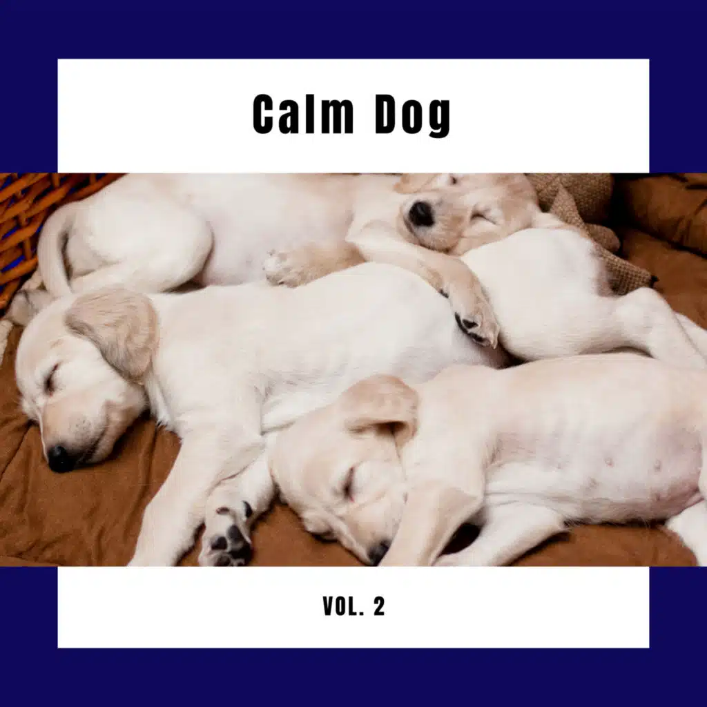 4 Calm Dog Vol. 2 (feat. Música Relajante para Perros & Music for Dog's Ears) (feat. Música Relajante para Perros & Music for Dog's Ears)