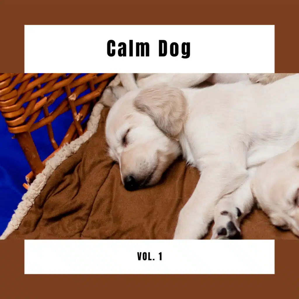 4 Calm Dog Vol. 1 (feat. Música Relajante para Perros & Music for Dog's Ears) (feat. Música Relajante para Perros & Music for Dog's Ears)