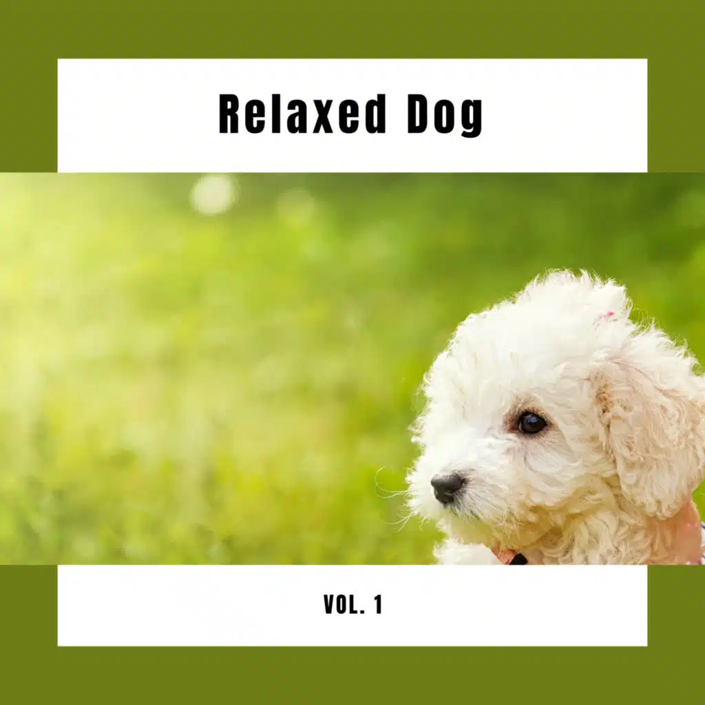 4 Relaxed Dog Vol. 1