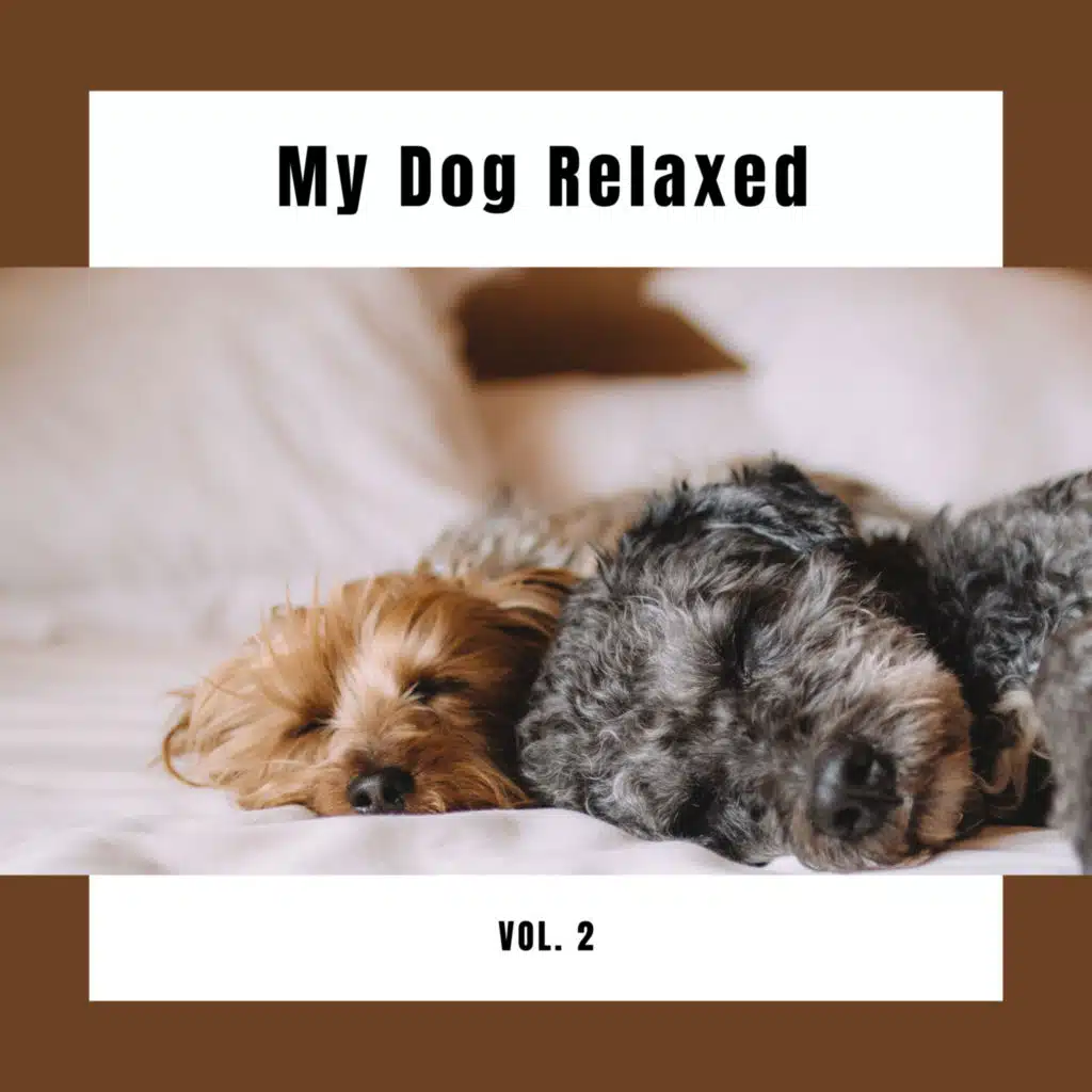 4 Relaxed Dog Vol. 2
