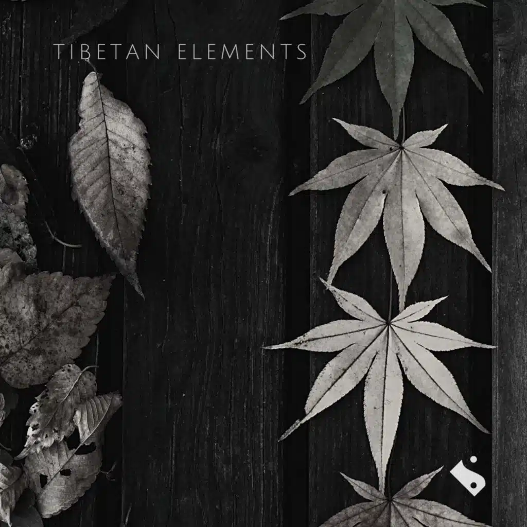 Tibetan Elements